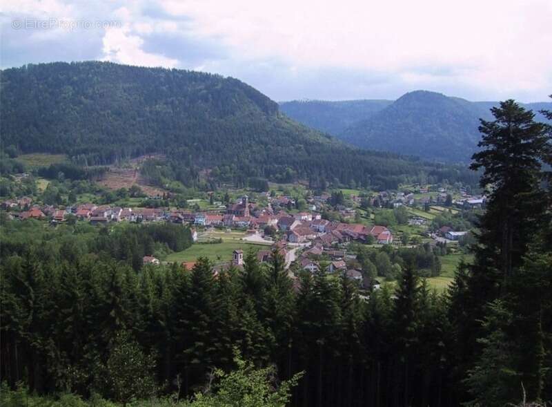 Appartement à SCHIRMECK