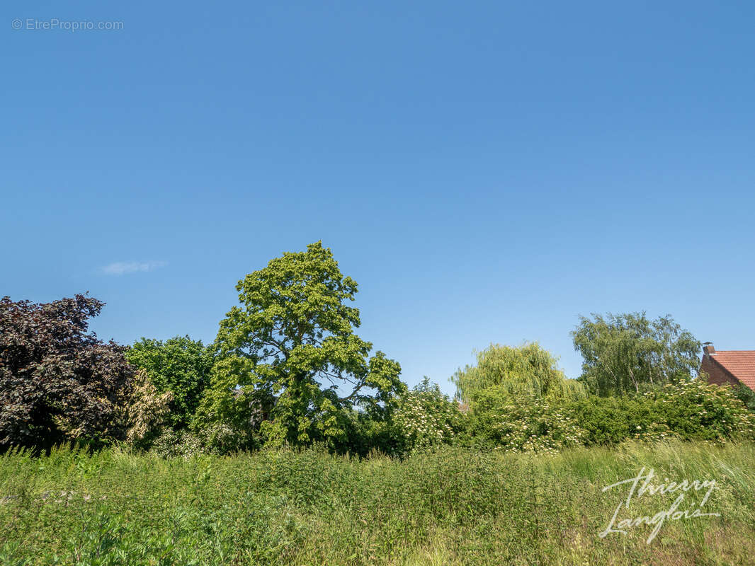 Terrain à VILLENEUVE-D'ASCQ