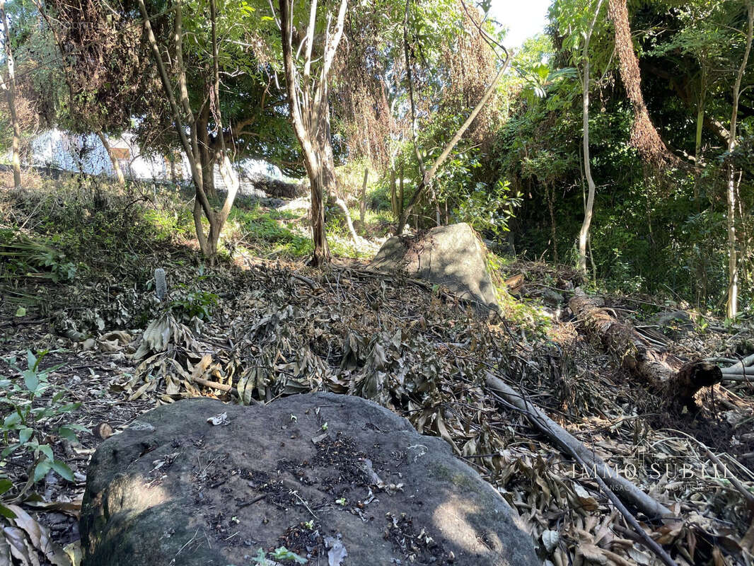 Terrain à GOURBEYRE