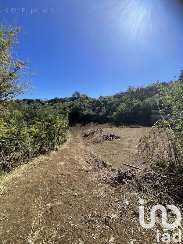 Photo 9 - Terrain à SAINT-PAUL