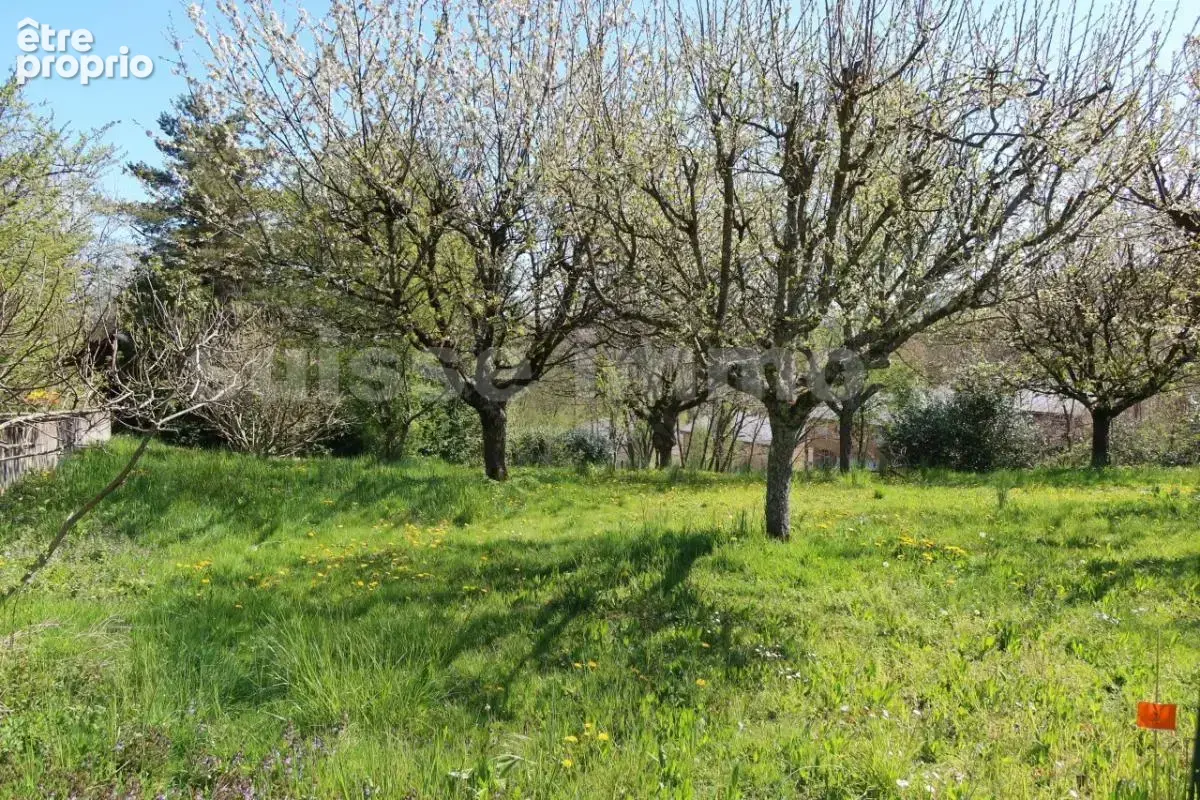 Terrain - 120 m2 - photo 7