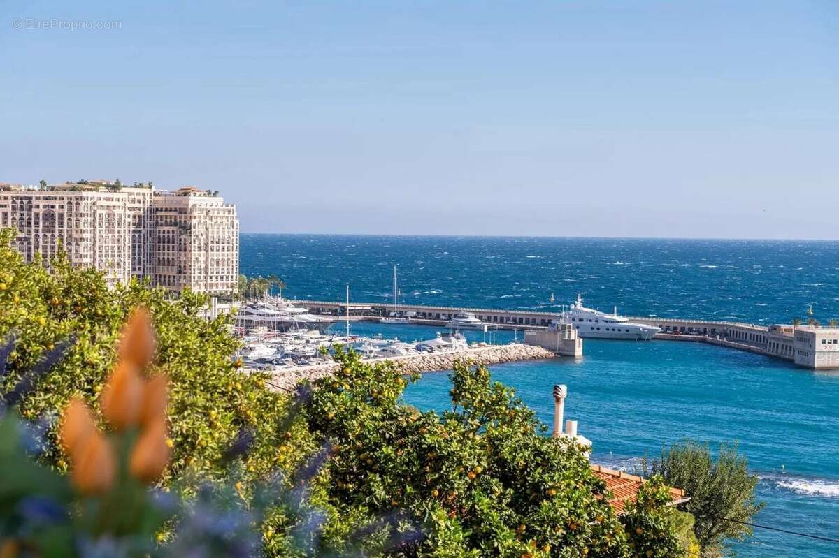 Appartement à CAP-D&#039;AIL