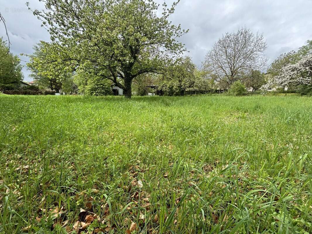 Terrain à SARREBOURG