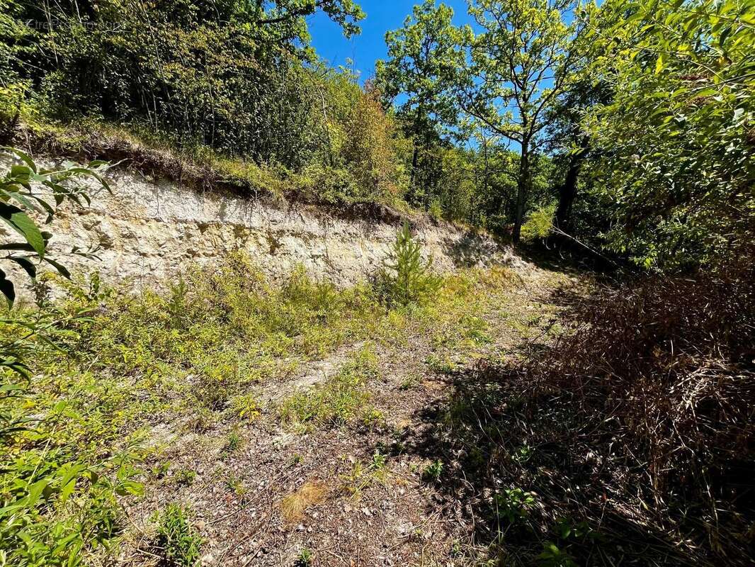 Terrain 2865 m² à Abondant  - photo 3