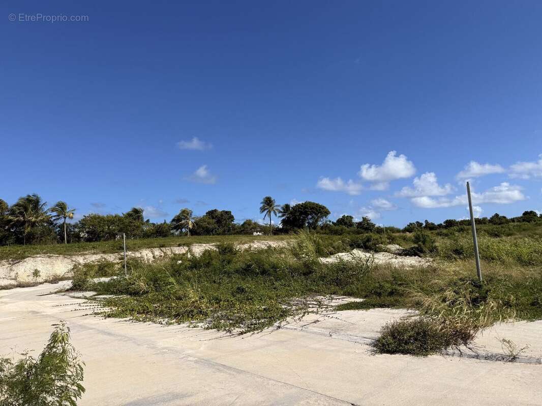 Terrain à PETIT-CANAL