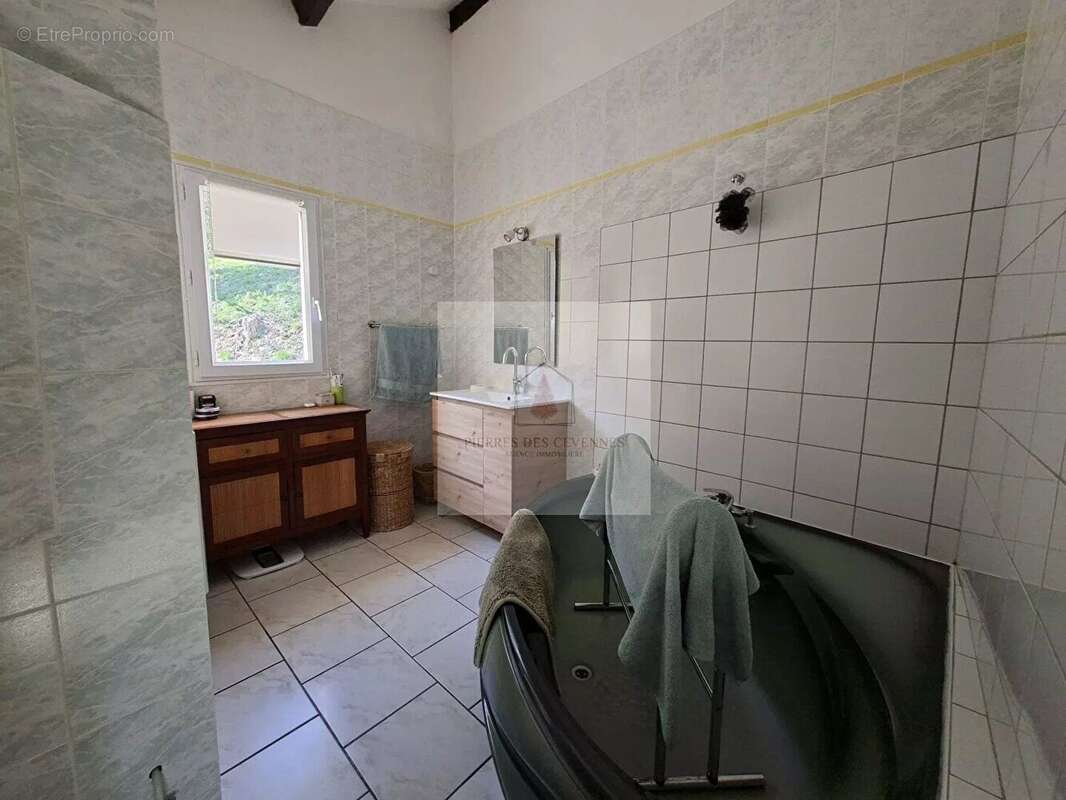 Maison à LE COLLET-DE-DEZE