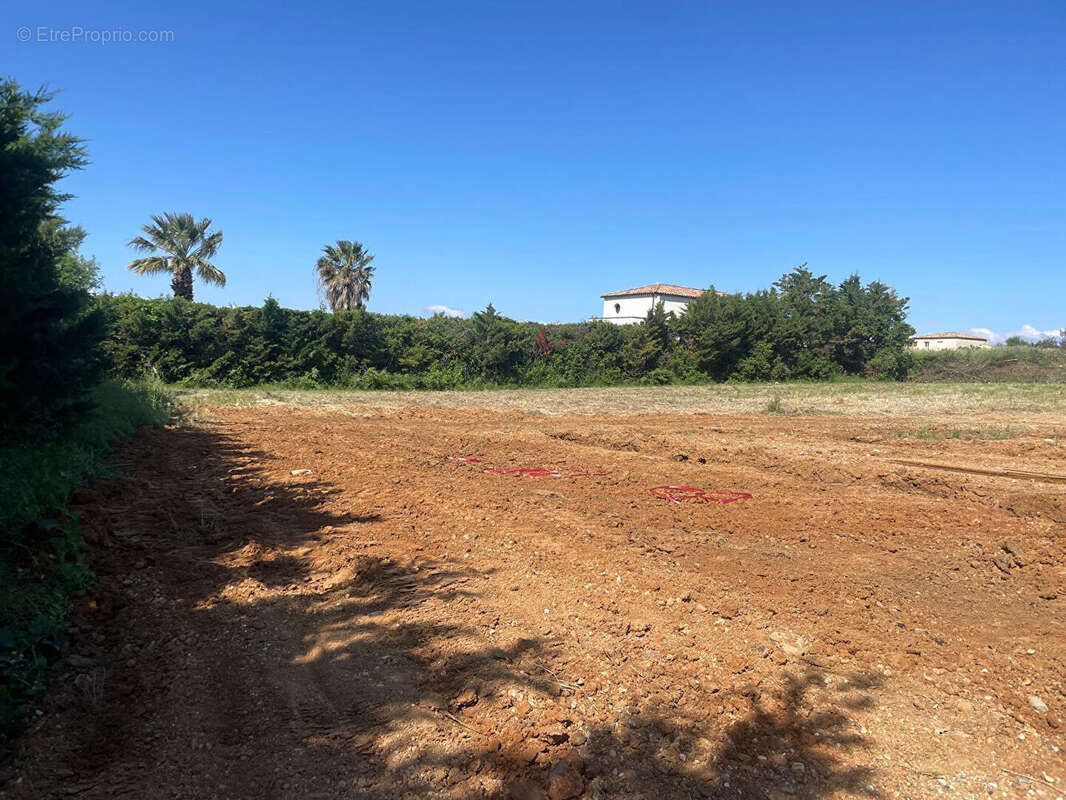 Terrain à THEZAN-LES-BEZIERS