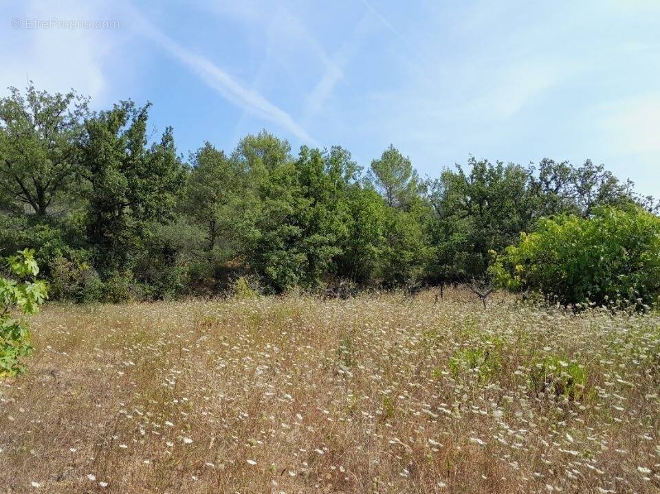 Terrain à CAMPS-LA-SOURCE
