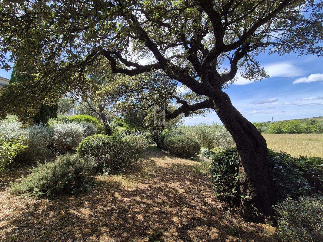 Superbe maison avec vue dégagée - photo 17