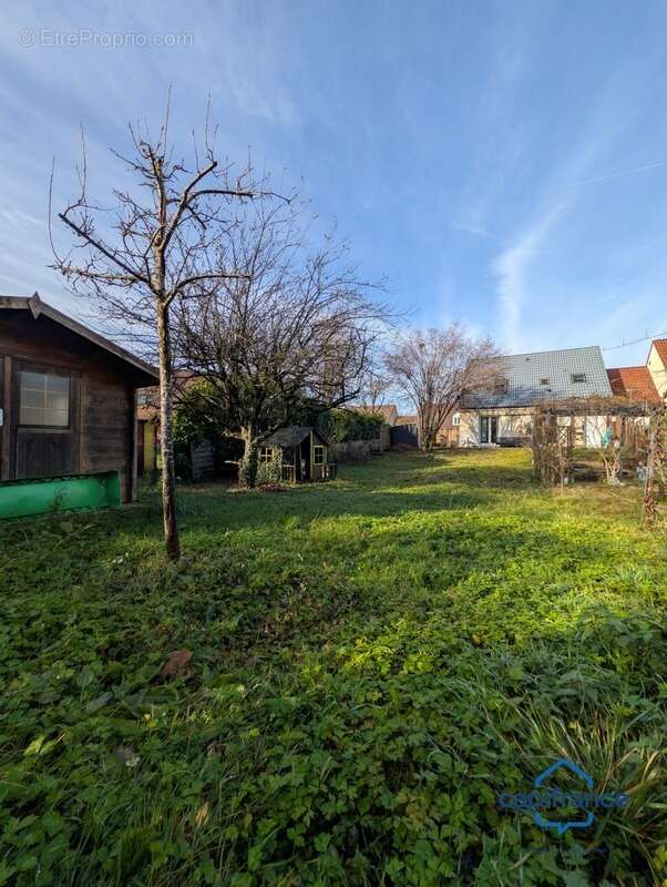 Maison à SAINT-LOUIS