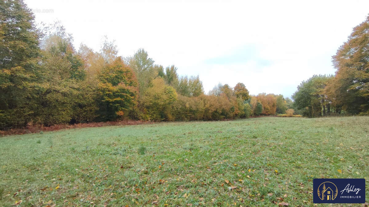 Terrain proche lac Neuvic - Terrain à NEUVIC