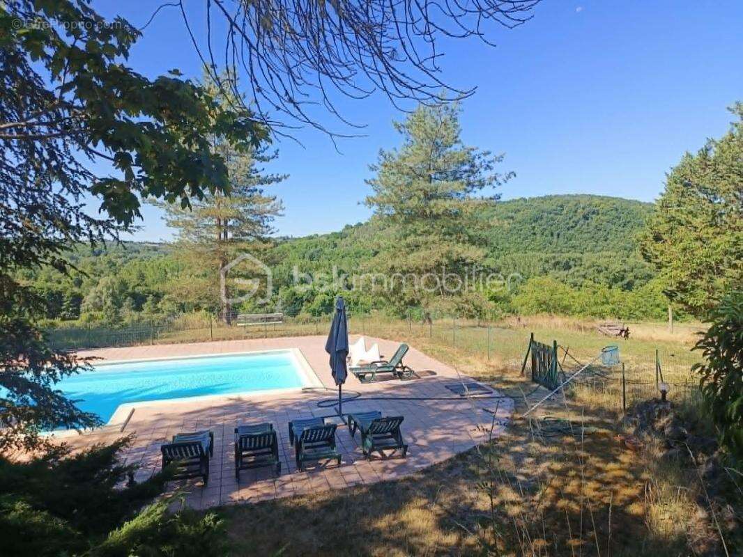Ensemble Immobilier comprenant 1 Habitation, 1 Gite, 1 Chalet / Bungalow, 1 Grange, 1 Hangar et 1 Piscine à Siorac en Périgord - photo 2