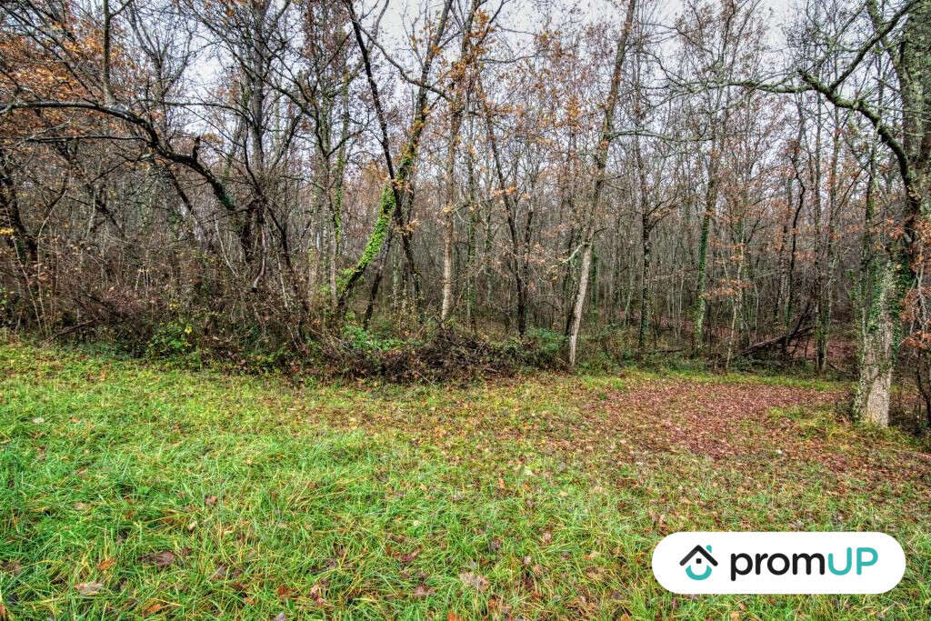 Terrain à VILLEMUR-SUR-TARN