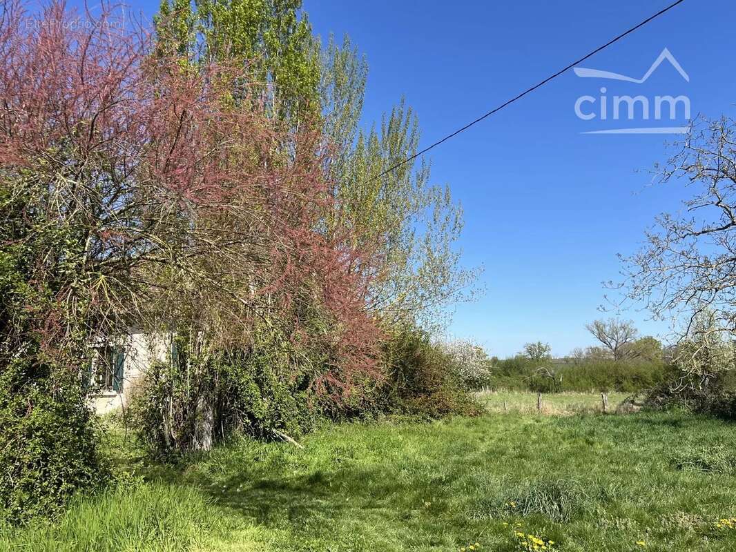 Maison à THIEL-SUR-ACOLIN