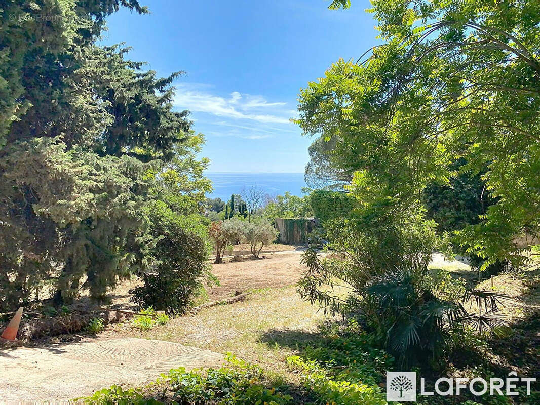 Terrain à ROQUEBRUNE-CAP-MARTIN