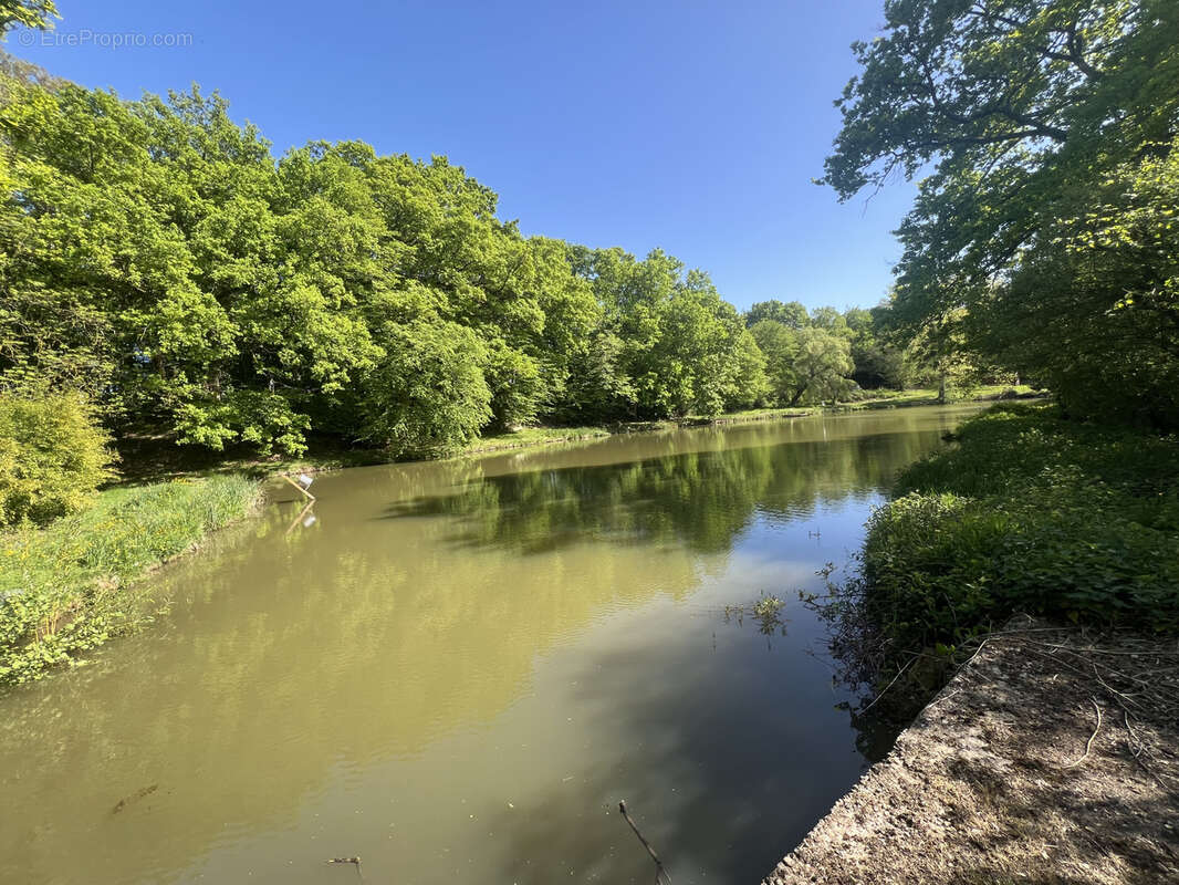 Etang avec terrain viabilise - photo 4