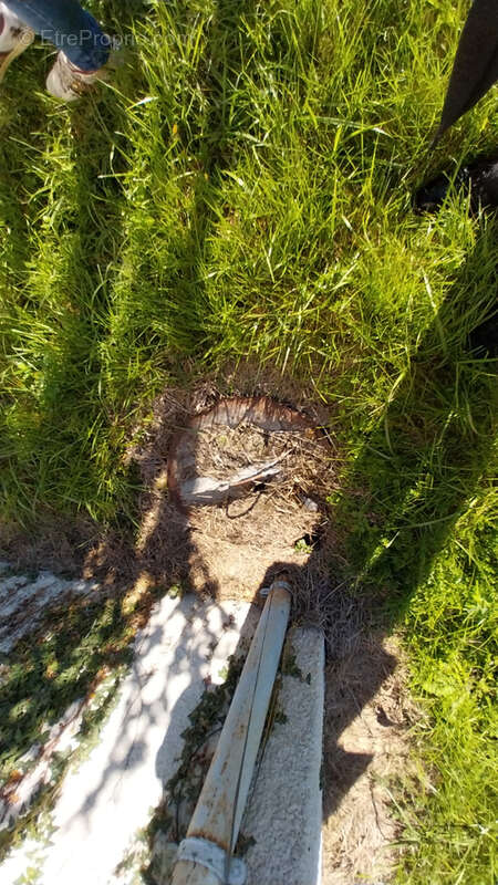 Maison à VIEUX-MAREUIL