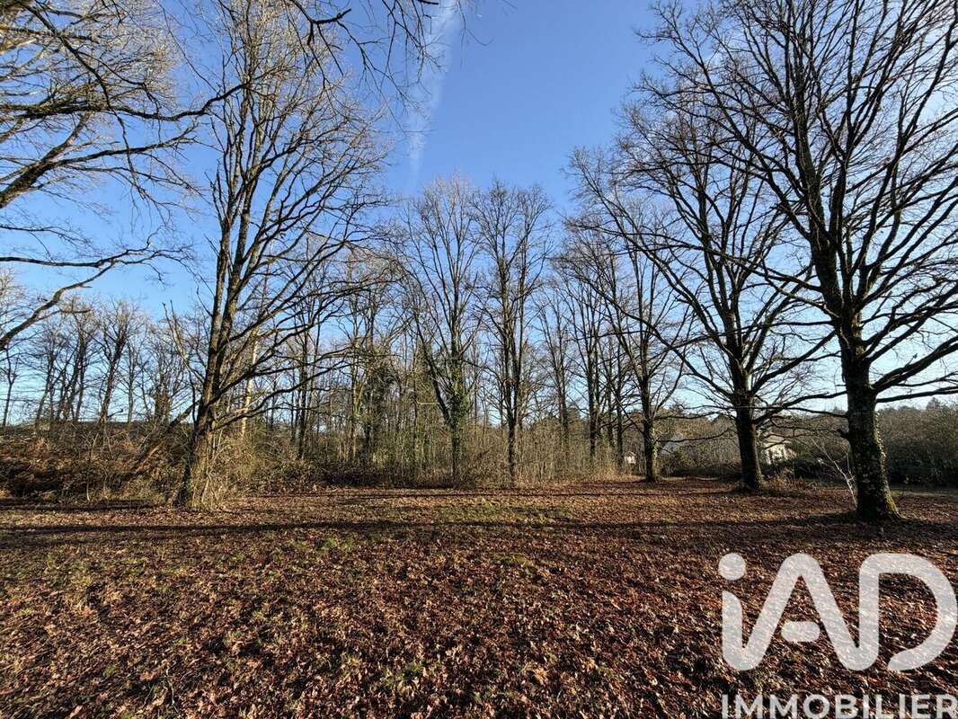 Photo 2 - Terrain à NANCAY