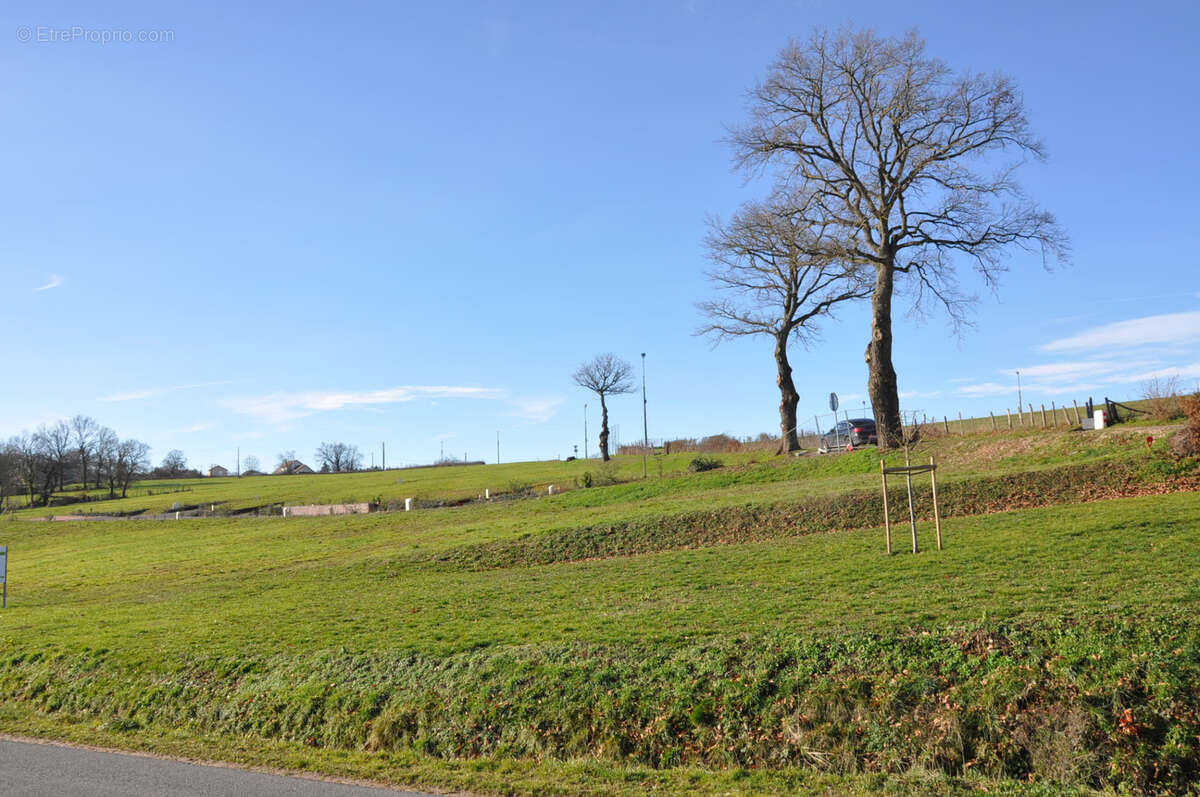 Terrain à LE BREUIL