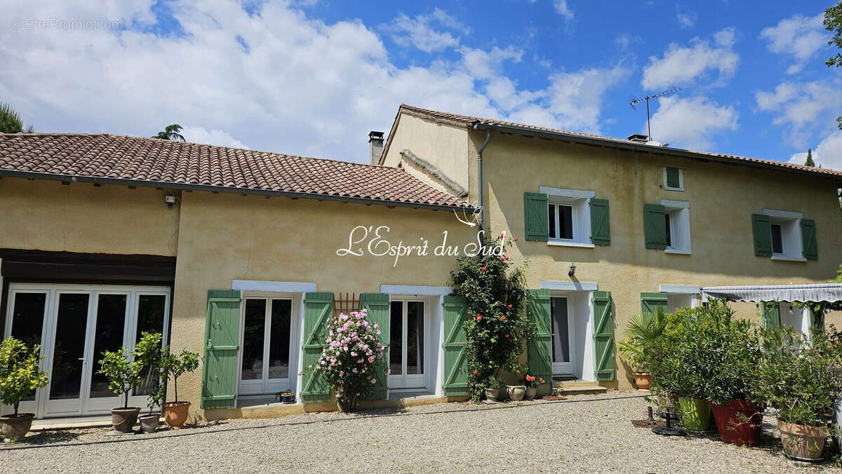 Maison 290 m² à Gaillac  - photo 2