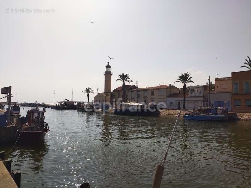 Commerce à LE GRAU-DU-ROI