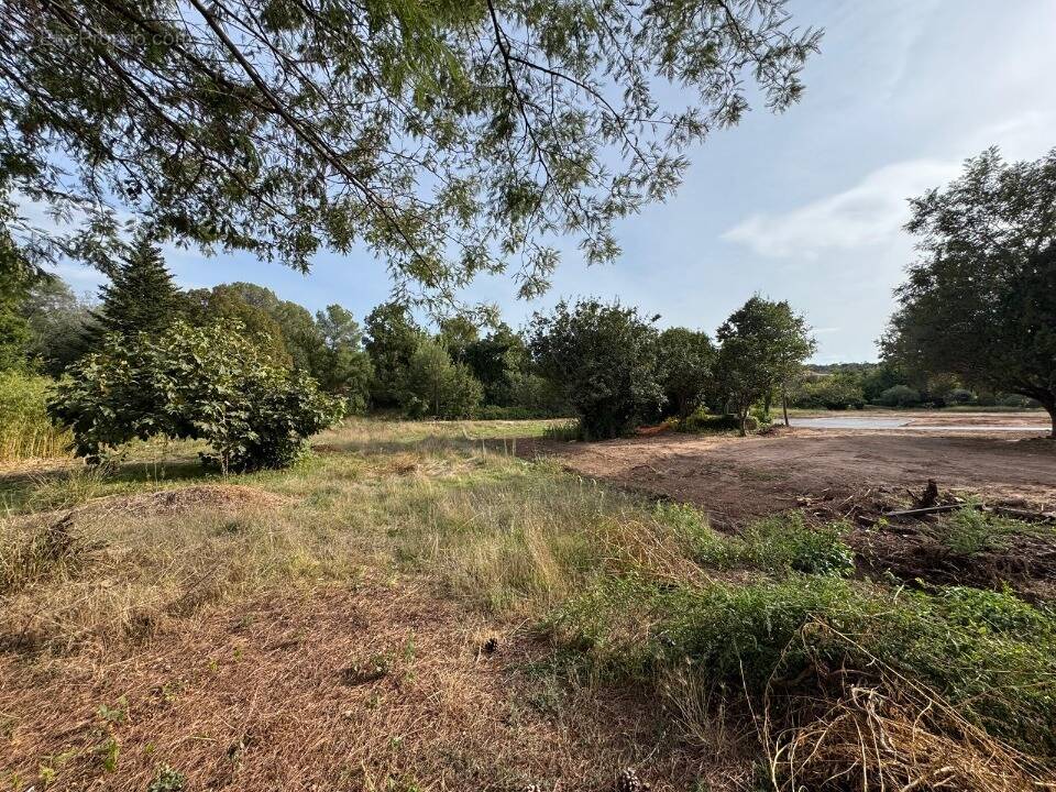 Terrain à SAINT-RAPHAEL