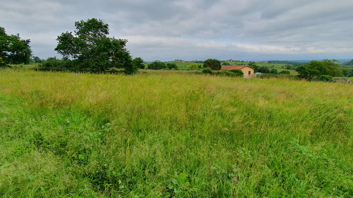 Terrain à SOUTERNON
