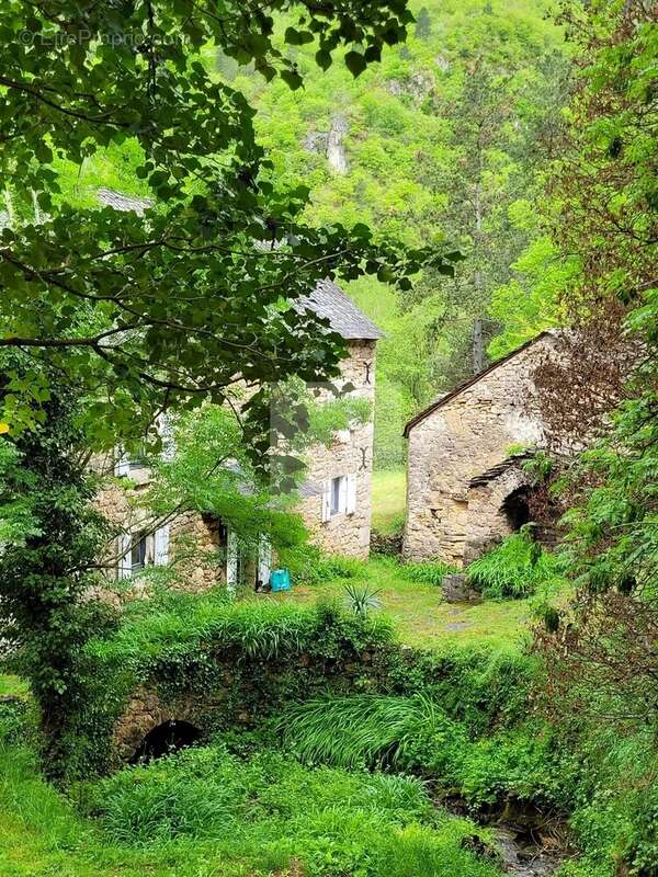 Maison à FLORAC