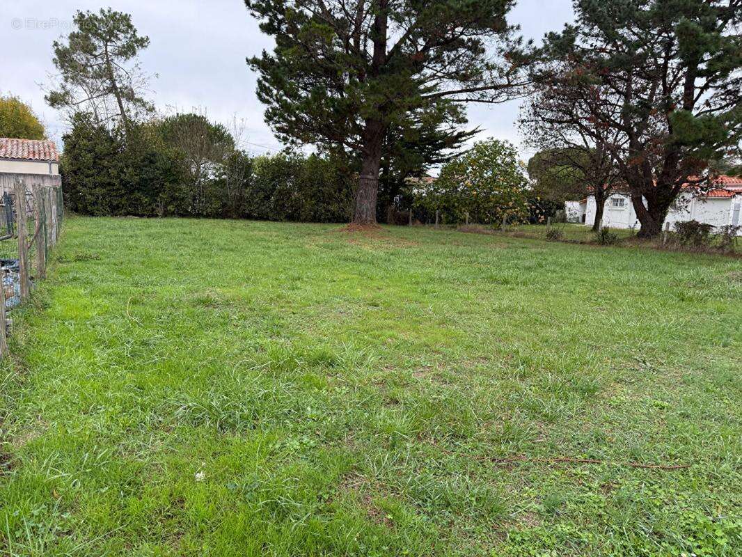 Terrain à SAINT-GEORGES-D&#039;OLERON