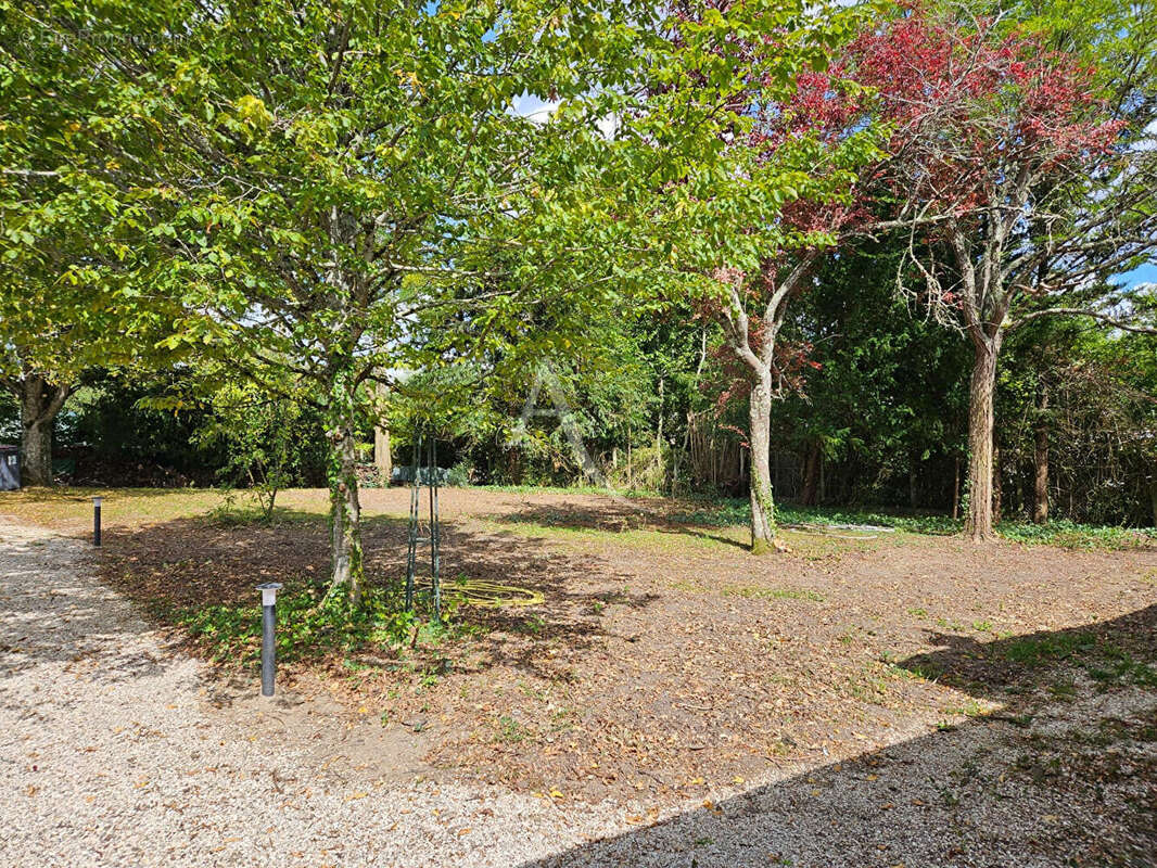 Maison à MONTRICHARD