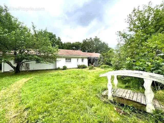 Maison à BLANQUEFORT