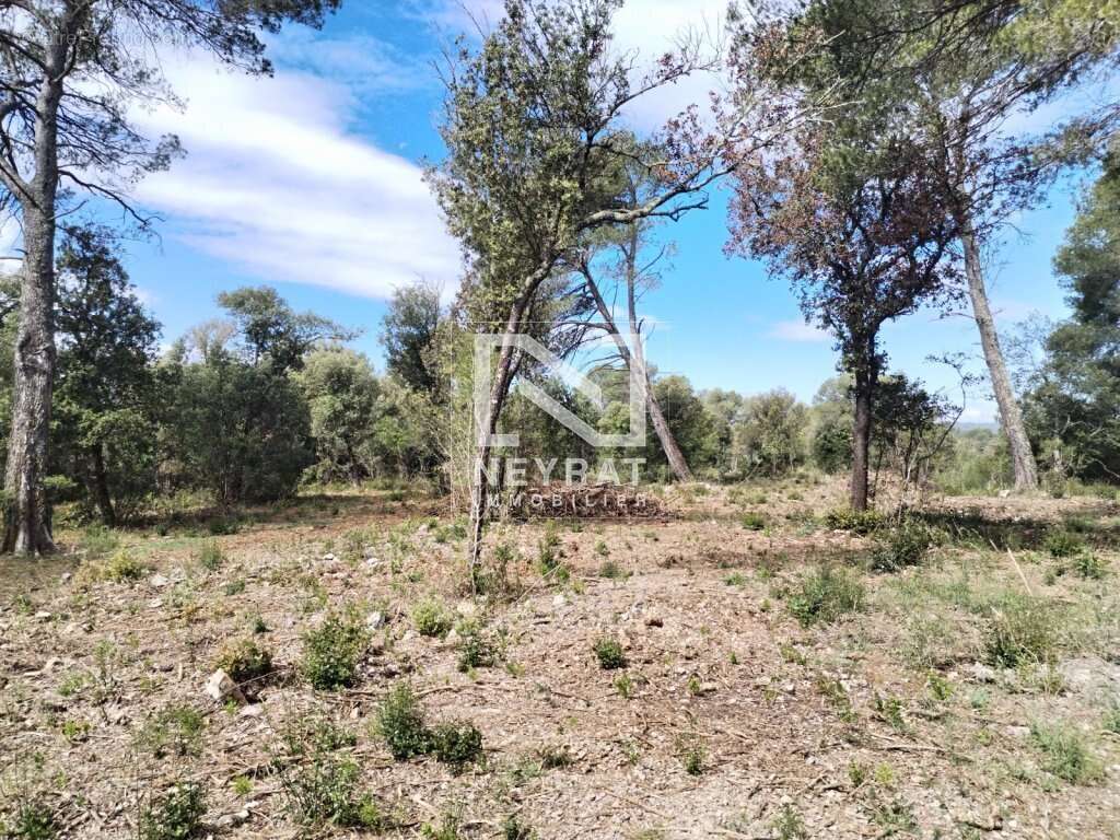 Montauroux - superbe terrain en zone naturelle   5 hectares ! - photo 4