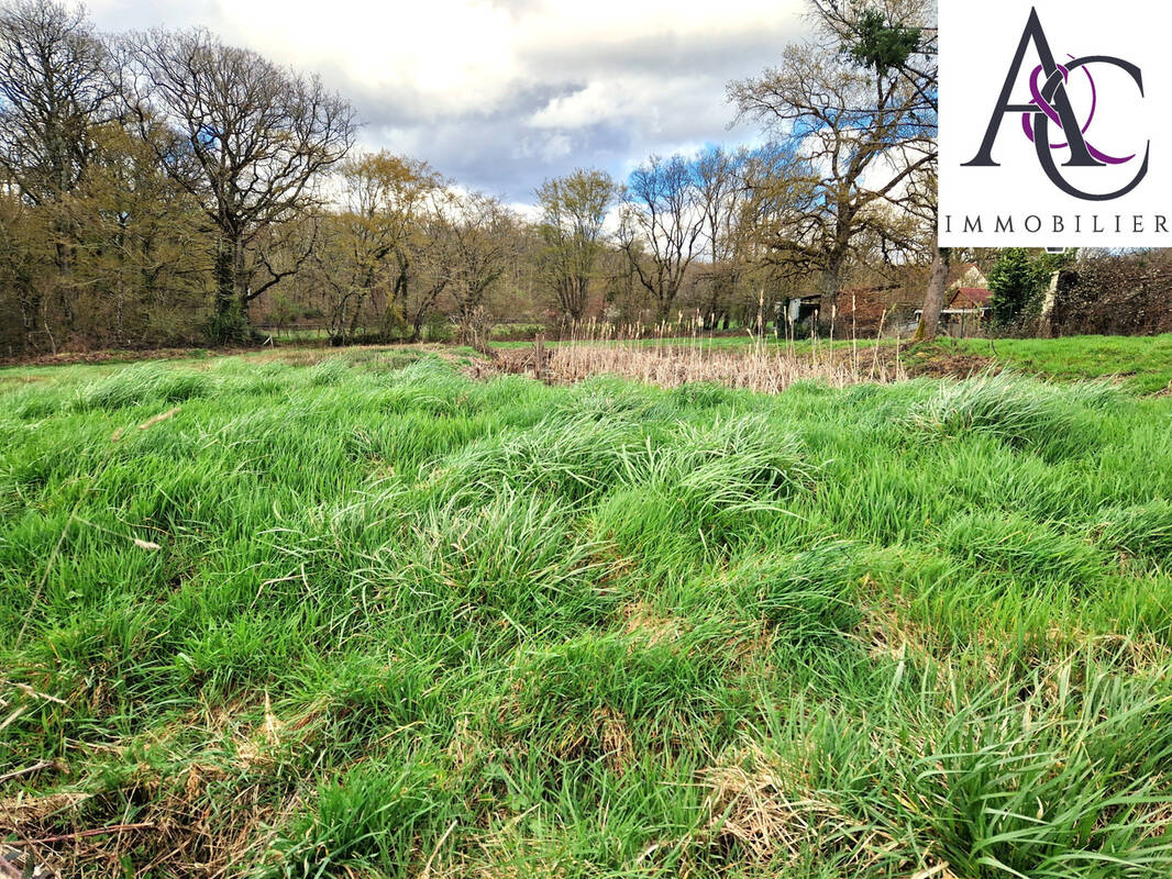 Terrain à VIGNOUX-SUR-BARANGEON