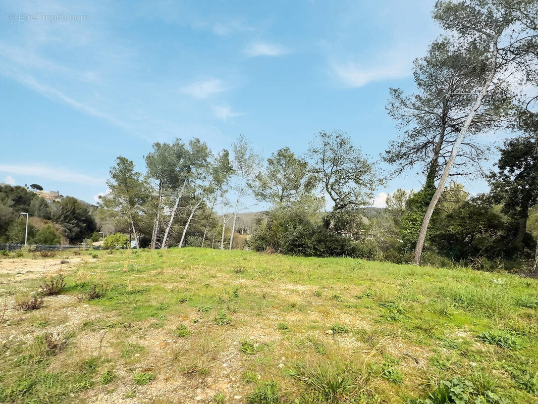 Terrain à MONTFERRIER-SUR-LEZ
