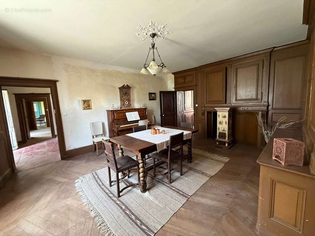 Magnifique manoir original dans un grand village avec toutes les commodités, situé au bord de la Saône - photo 14