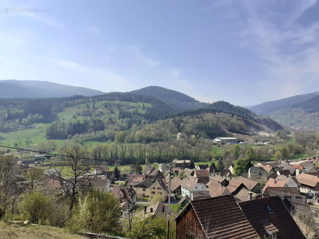 Terrain à MUHLBACH-SUR-MUNSTER