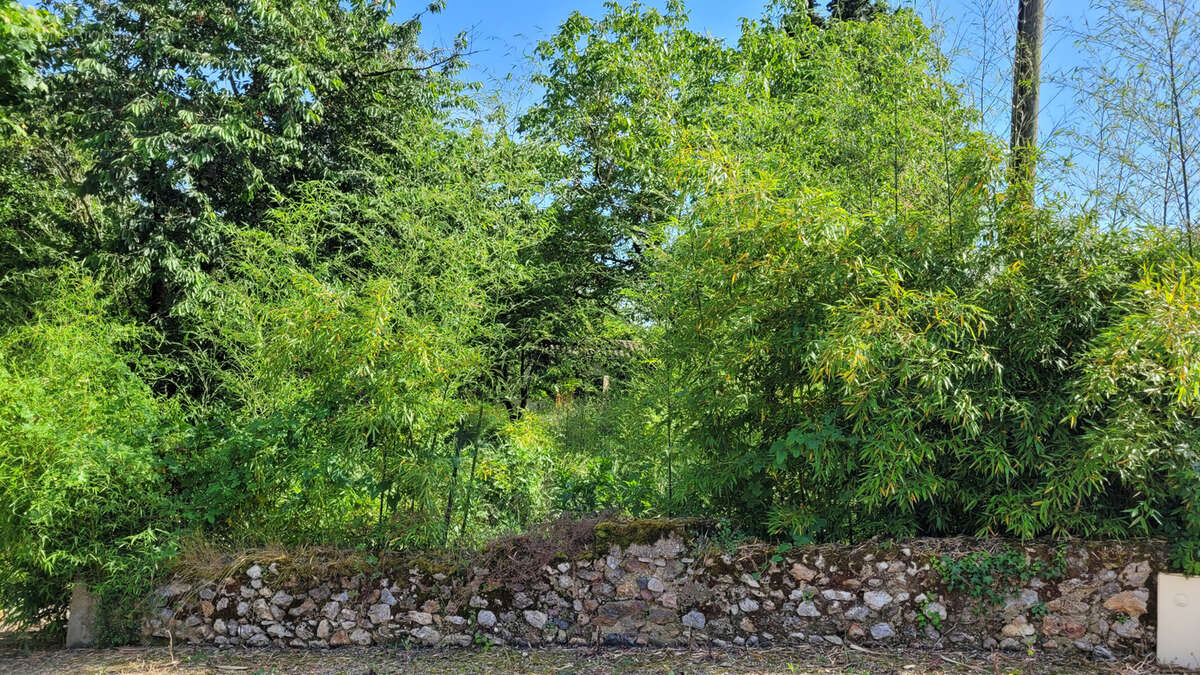 Damazan, centre ville terrain avec bâtiment - photo 8