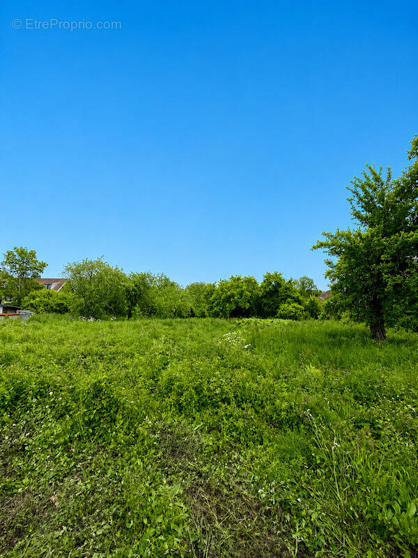 Terrain à CUSSET
