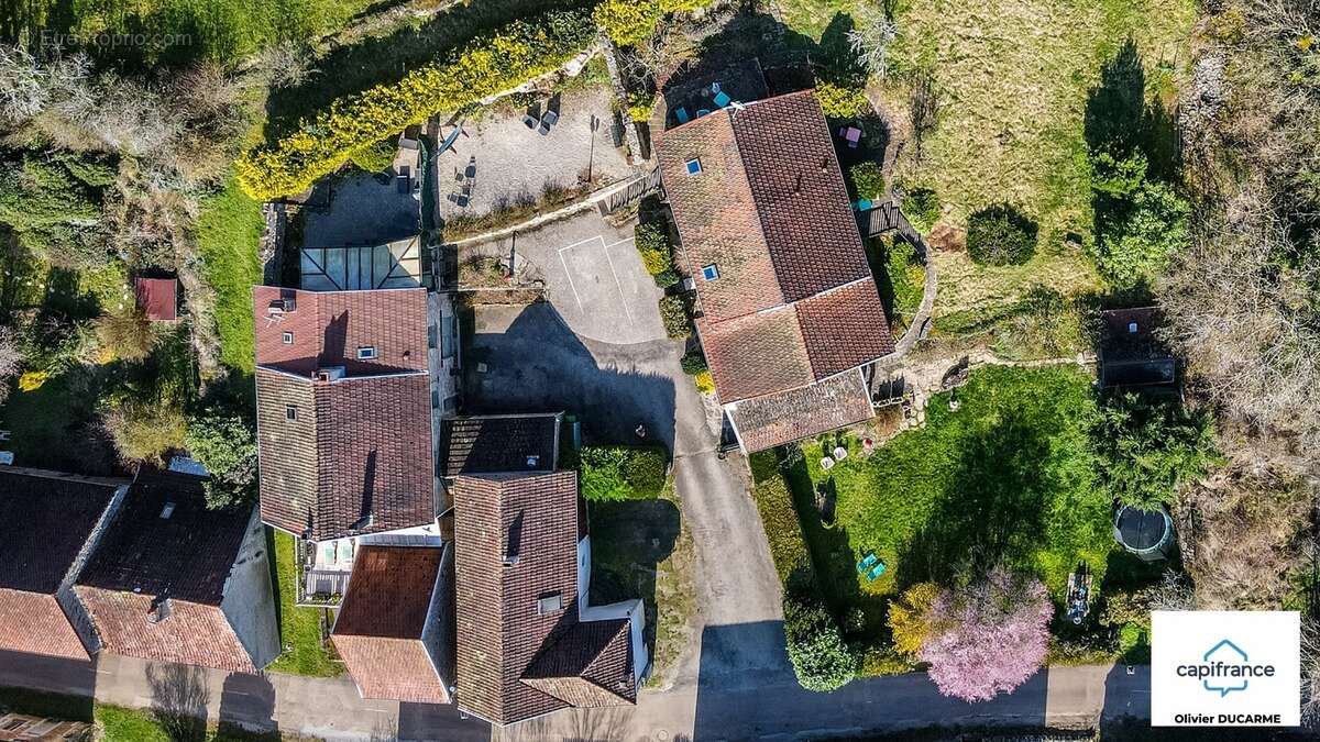 Murs et fonds : gite, chambres d'hôtes et table d'hôtes à vendre CHAUDENAY LE CHATEAU (21) - photo 2