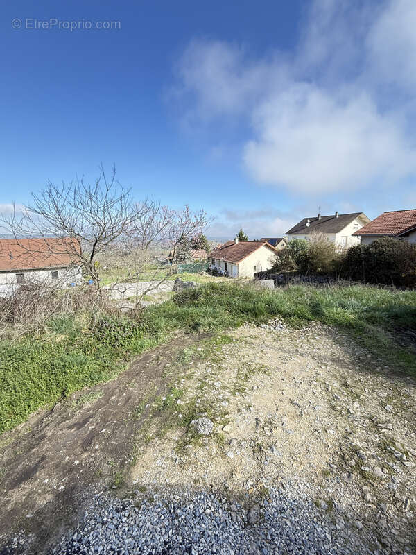Terrain à VASSELIN