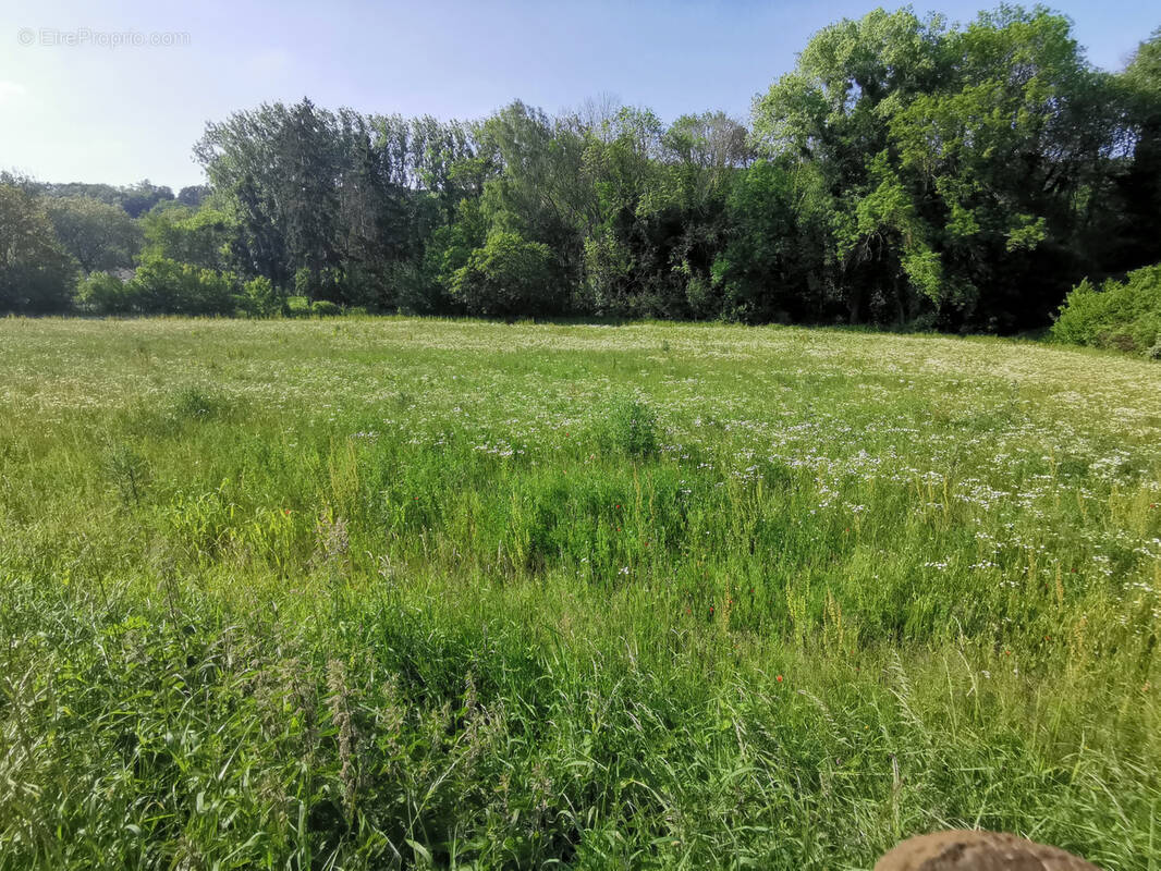 Terrain à SERMAISE