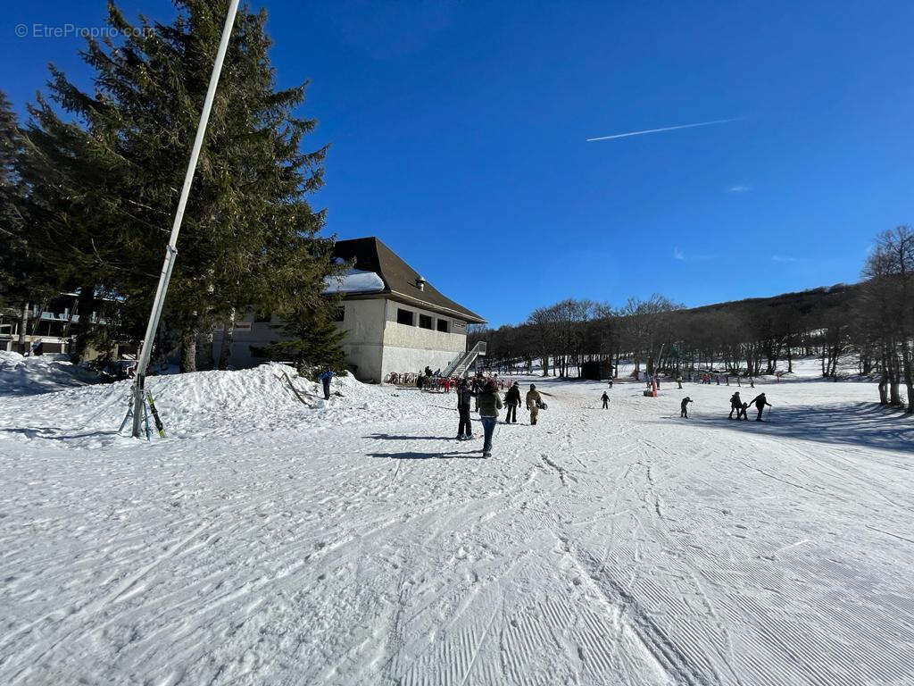 Commerce à LAGUIOLE