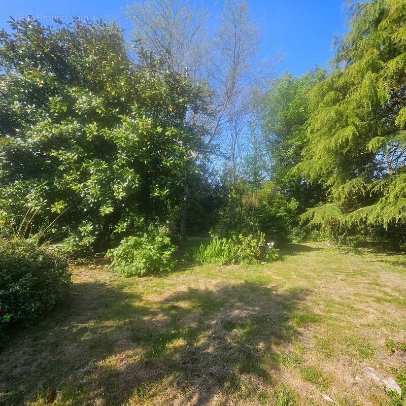 Maison au calme sur 3300 m2 de terrain arboré - photo 4