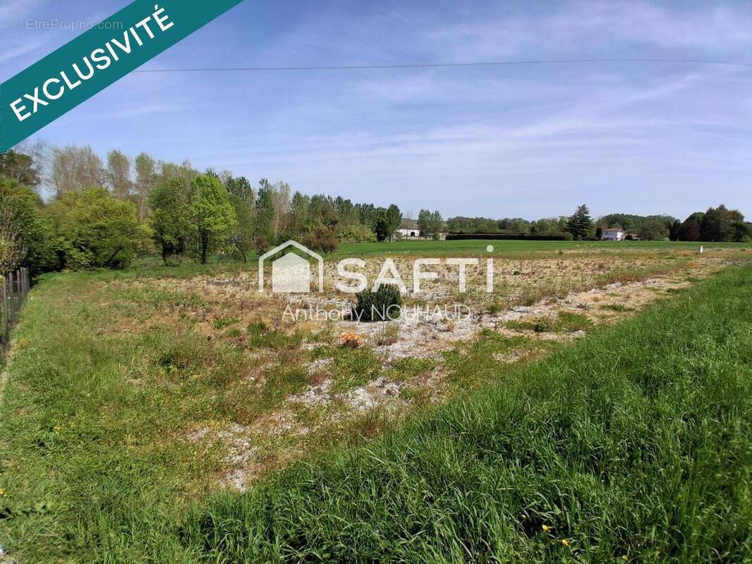 Photo 4 - Terrain à VERRIERES