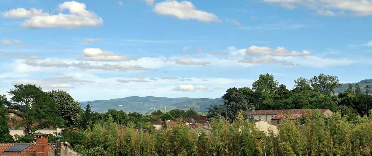 Photo 2 - Maison à LABRUGUIERE