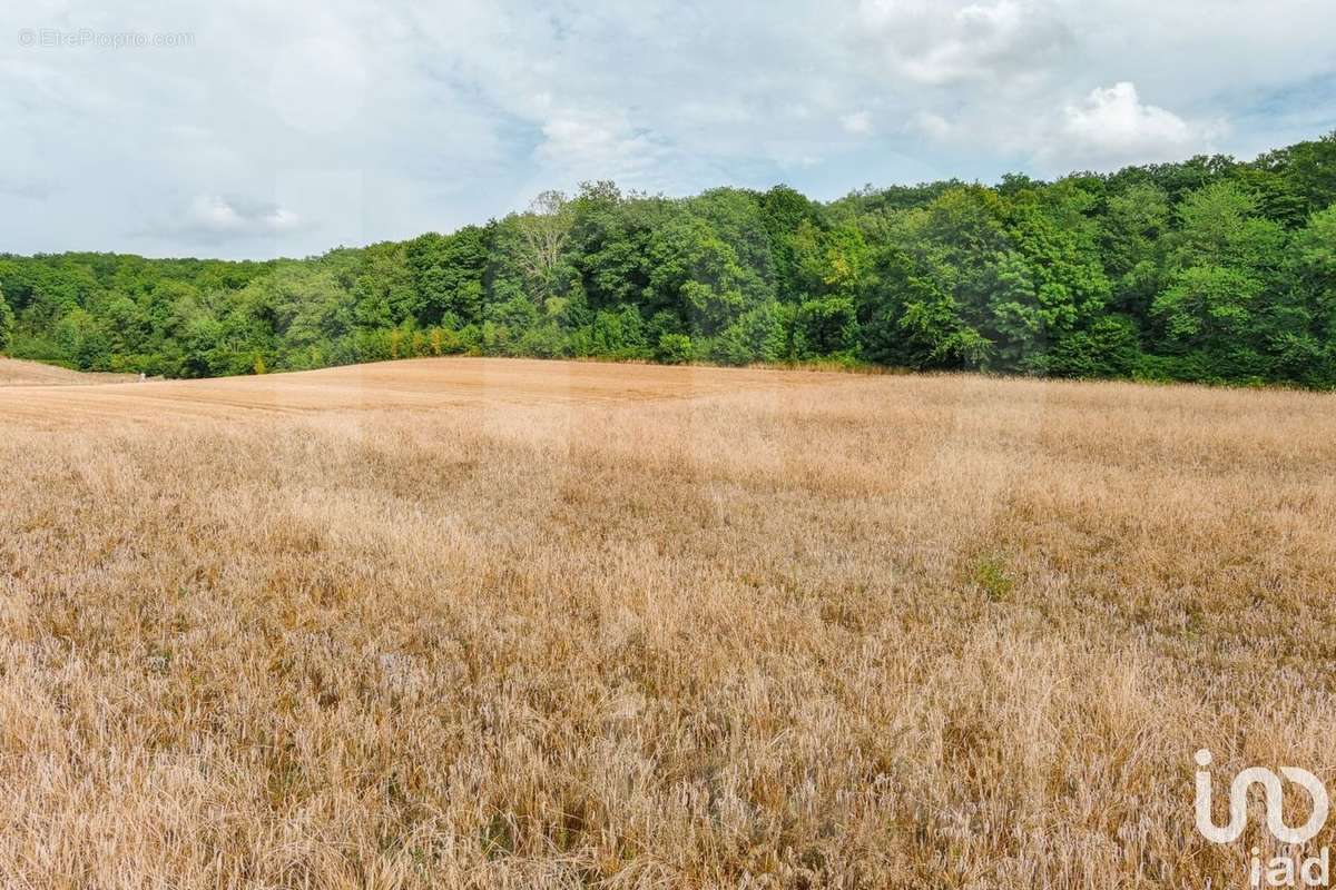 Photo 4 - Terrain à VALMONT