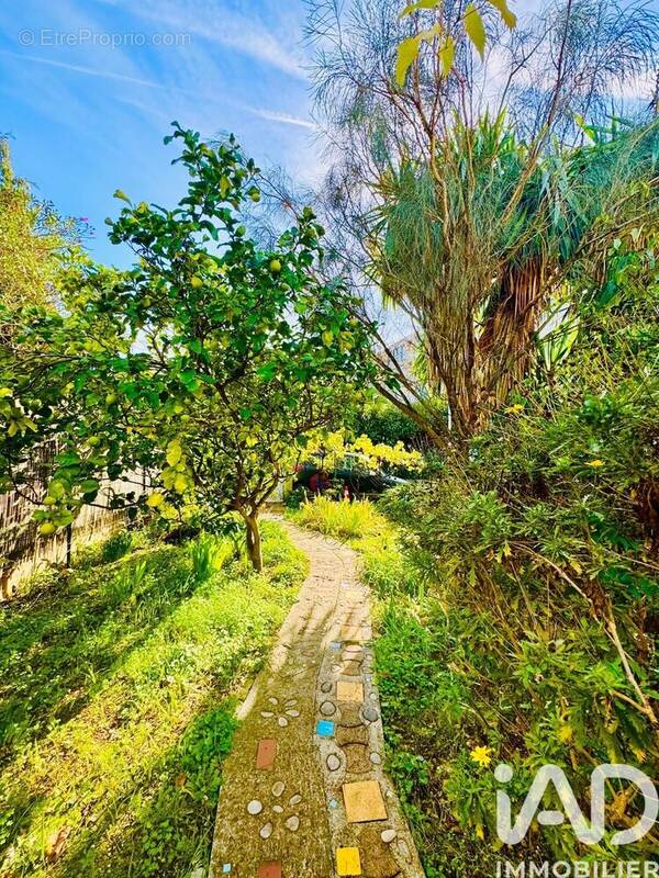 Photo 1 - Appartement à VALLAURIS