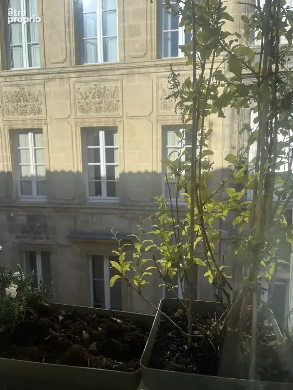 Appartement de charme coeur de Bordeaux - photo 8