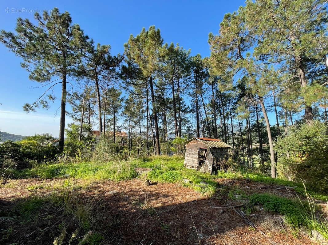 T2 de 45,50m2 au 1er et avant-dernier étage - photo 2