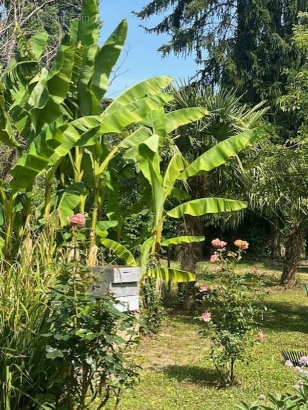 PLAISANCE (32): SANS TRAVAUX, MAISON XVIIIs restaurée avec élégance SUR 240M2 habitables, 6600m2 de jardin,géothermie,  puits, g - photo 55